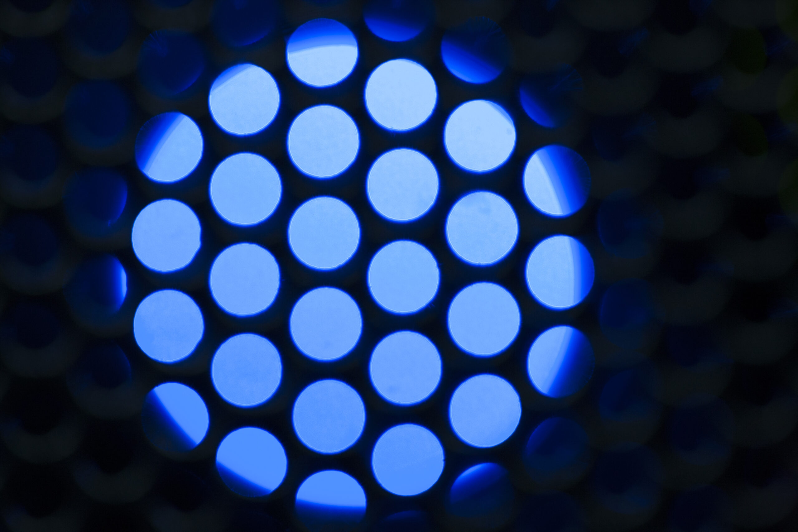 Software Quality Assurance