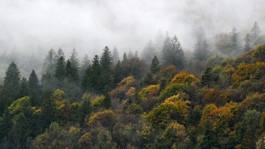 Rural Fires Interoperability Platform (AGIF)